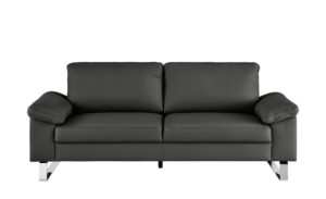 Max Schelling Ledersofa  Maximum ¦ grau ¦ Maße (cm): B: 204 H: 86 T: 97 Polstermöbel > Sofas > 2-Sitzer - Höffner