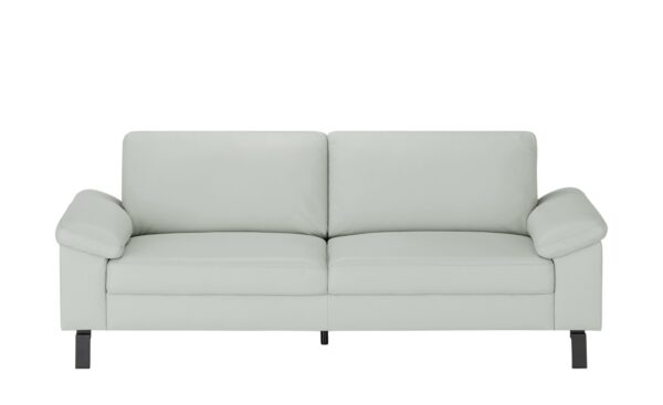 Max Schelling Ledersofa  Maximum ¦ grau ¦ Maße (cm): B: 224 H: 86 T: 97 Polstermöbel > Sofas > 3-Sitzer - Höffner